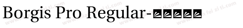 Borgis Pro Regular字体转换